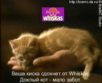 Fun with Whiskas advertising