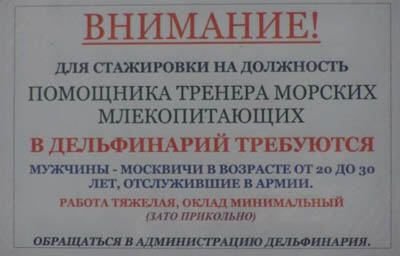 объявление о приеме на работу