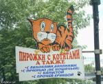 вывеска пирожки с котятами