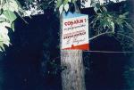 photo ad in the park