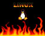 wallpaper on your desktop with Linux penguin