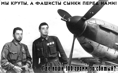 dd-334.jpg