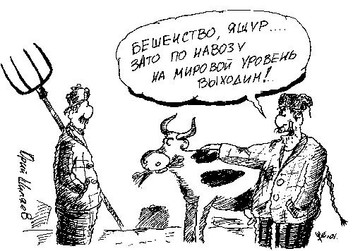 cartoon in the farm