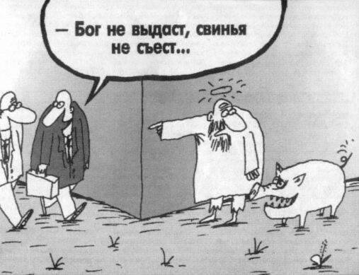 карикатура бог не выдаст свинья не съест