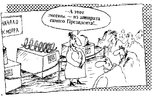 карикатура музейный экспонат