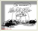 funny pictures one for the road