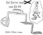 Cat carrier.jpg