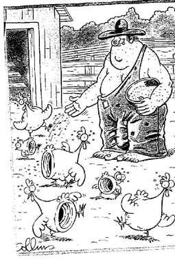 cartoon poultry farm