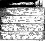funny pictures with spermatozoons