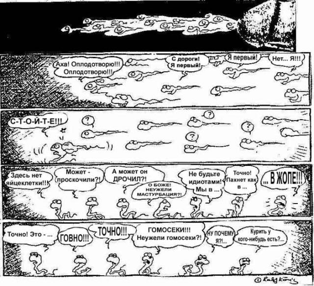 funny pictures with spermatozoons