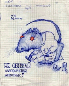 картинка не обижай лабораторных крыс