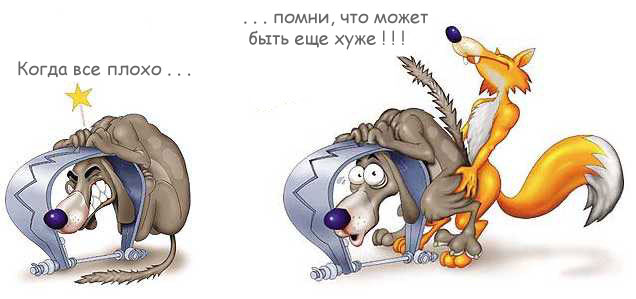 447451_1_.jpg