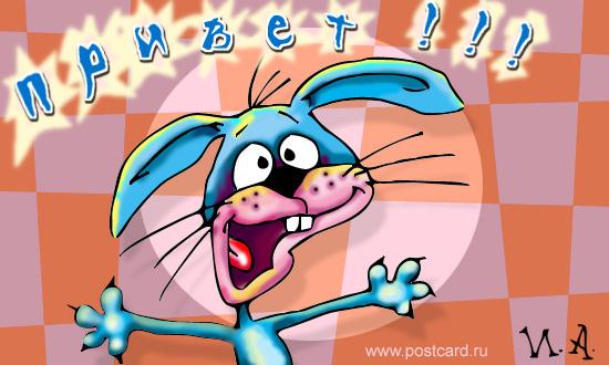 rabbit.jpg