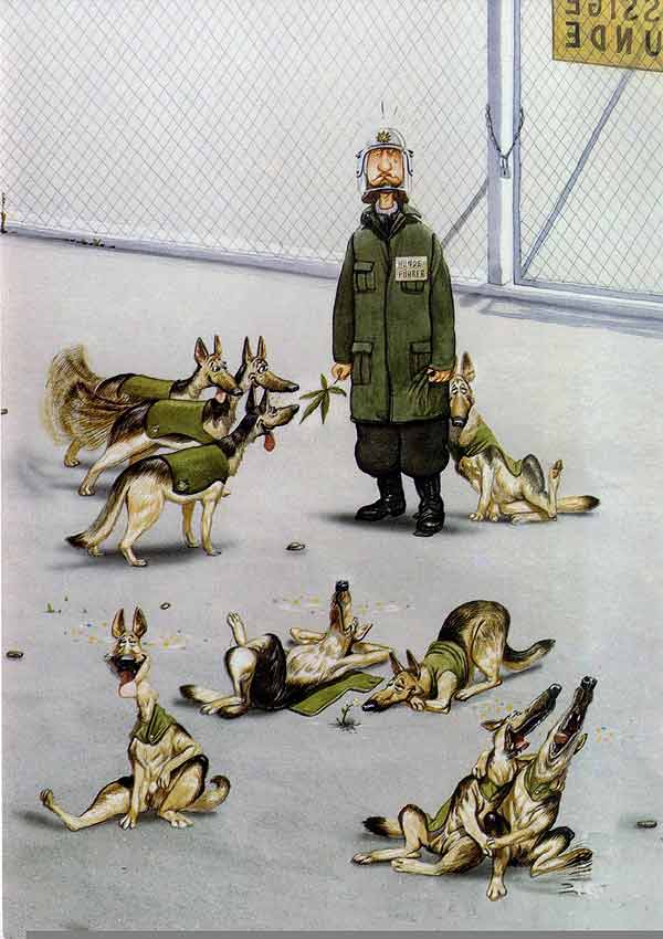WOLF.JPG