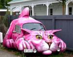 0226_catcar.jpg