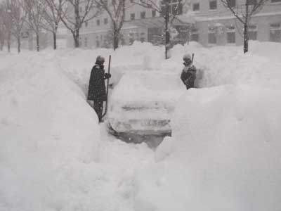 20030105metel20030105033.jpg