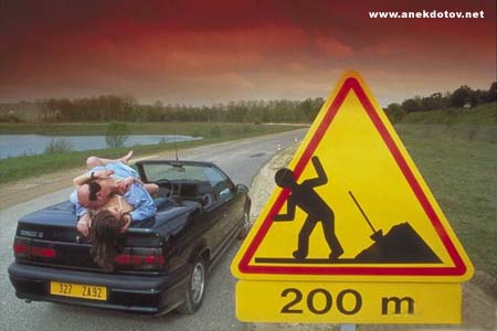 CARSEX.JPG