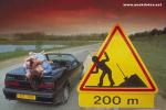 CARSEX.JPG