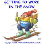 skiing.jpg