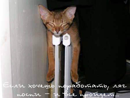 отдых в тепле