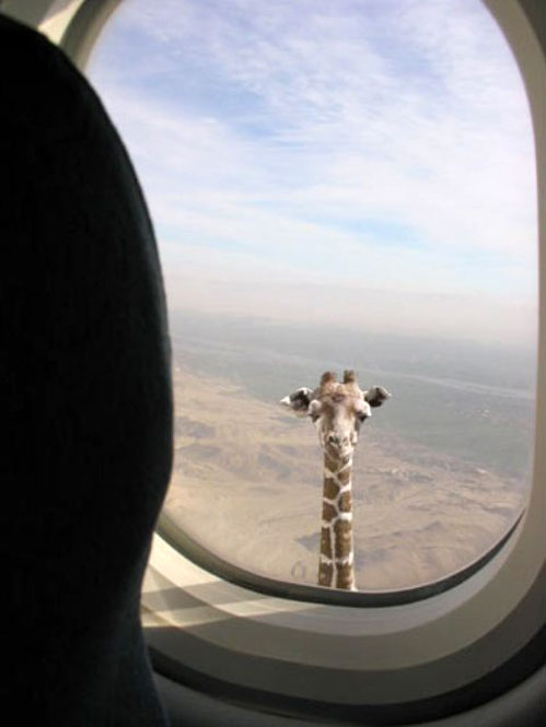 060112_hi.jpg