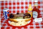 dog hot dog