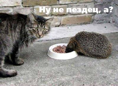 ну не потеря а.,