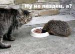 ну не потеря а.,