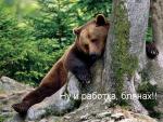 каторжная работа