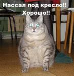 даже некуда сходить по нужде