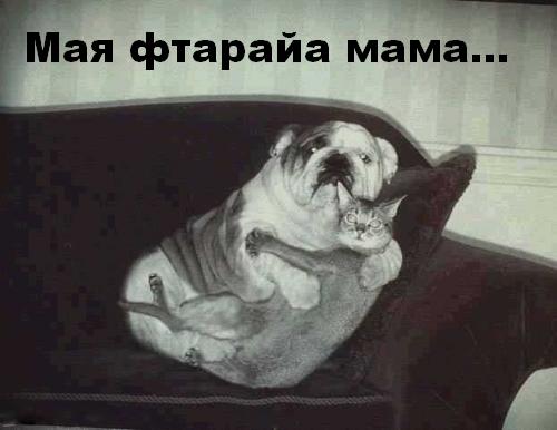 моя вторая мама