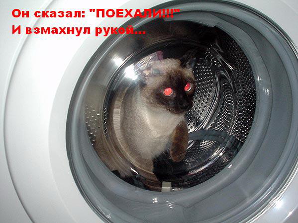 он сказал поехали! и взмахнул рукой