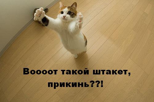вот такой штакет прикинь