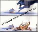 истинное лицо контркультуры
