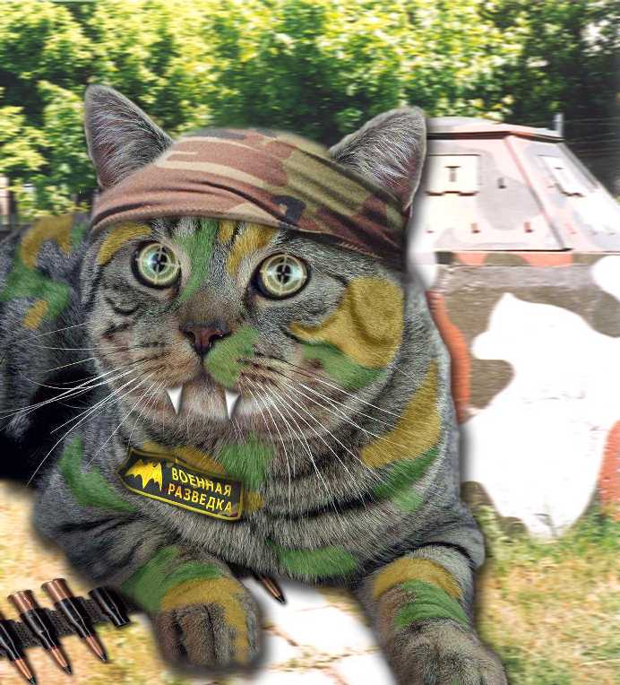 военная разведка