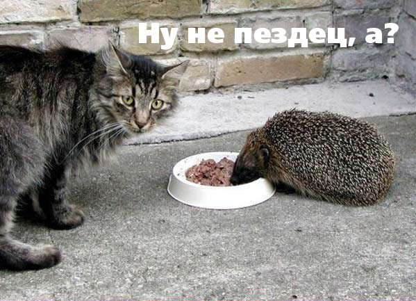 воровство средь бела дня
