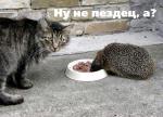 воровство средь бела дня