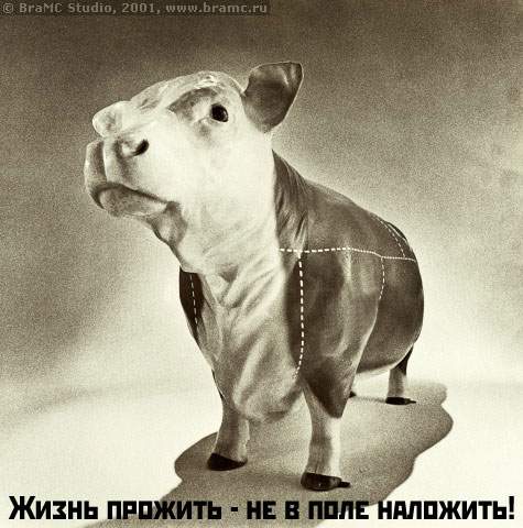 жизнь прожить не в поле наложить