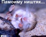 памоиму ништяк