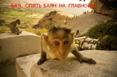 post-13-1123254558.jpg
