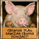 свин с сигаретой