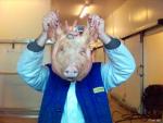 photo pig-man