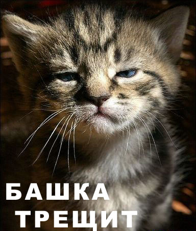 башка трещит