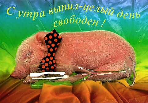 с утра выпил - целый день свободен