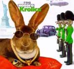 new year of rabbit