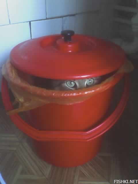 eyes from garbage