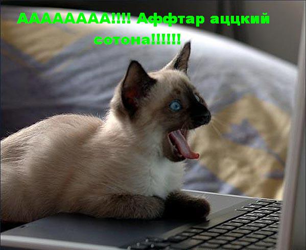 аааа аффтар аццкий сотона