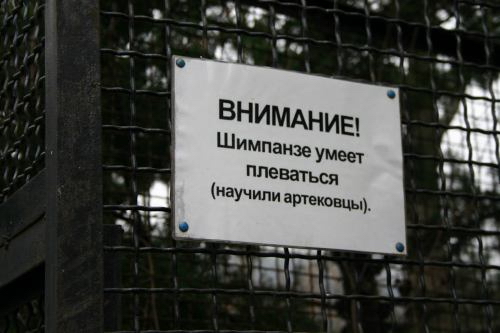 attention to the chimpanzee is able to spit. Children from Artek taught her