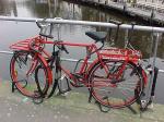 0306_bike02.jpg