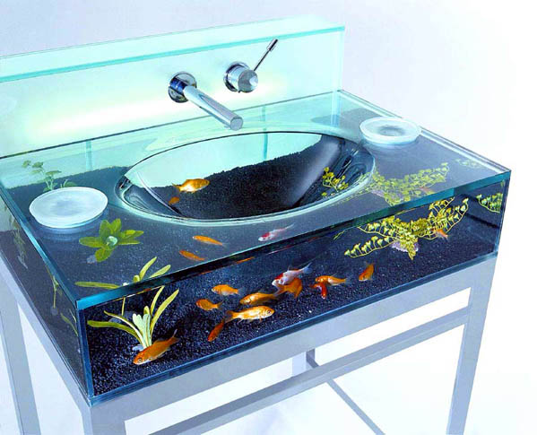 0824_goldfish.jpg